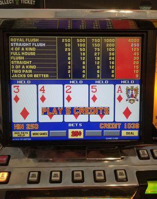 New Life Games: Woo Hoo!