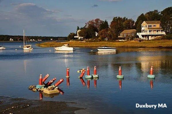 Tony Gregory - Options 153