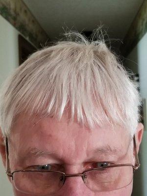 Village Plaza Barber Stylist