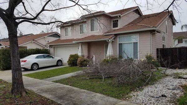 Lu Brothers Landscaping Construction