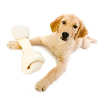 Prime Time Brand Dog Bones