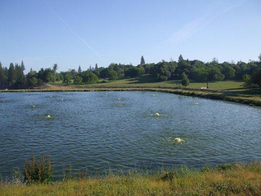 Murphys Sanitary District