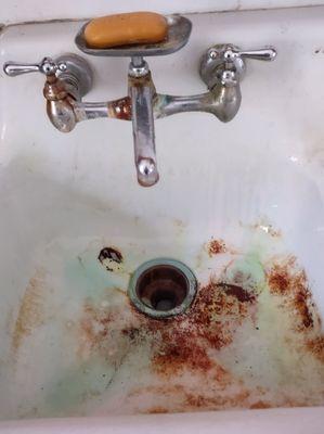 Cinderellas Cleaning Team