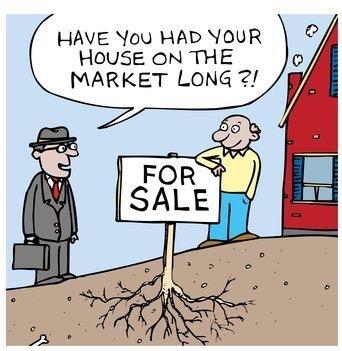 I don't just stick a sign in the yard growing roots...I'm a savvy full service Realtor!