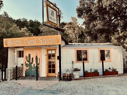 Birds Nest was reestablished in 2020