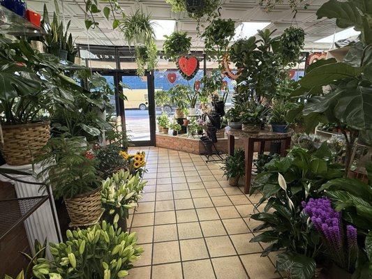 Northern Blvd Florist