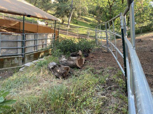 Nor-Cal Stump Grinding