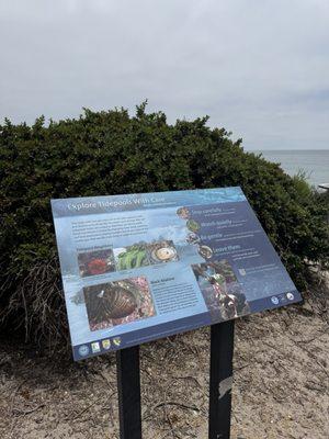 Shell Beach Park At Beachcomber