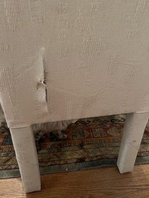 Austin's Moving Company