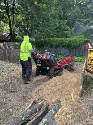 Palmers Tree And Lawn Care