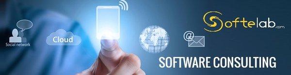 Software Consultation