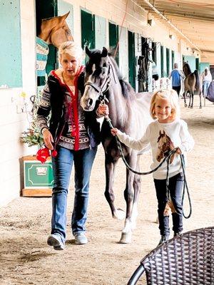 Wallen West Farms & Riding Academy