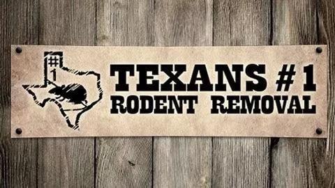 281-734-6387 for 15% off And a 1 year warranty
rats,raccoons,bats,squirrels,possums,skunks