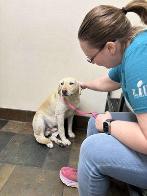 California Highway Patrol