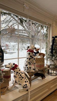 Window during Christmas Season (2025)