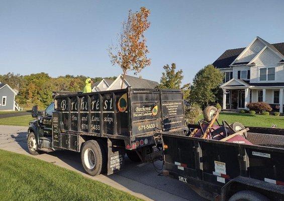 Birchcrest Tree & Landscape