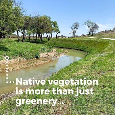 Cardinal Strategies Engineering Service