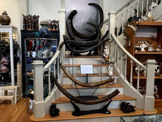 Very Expensive Wooly Mammoth tusk.