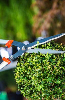 Eduardo Mora's Landscaping