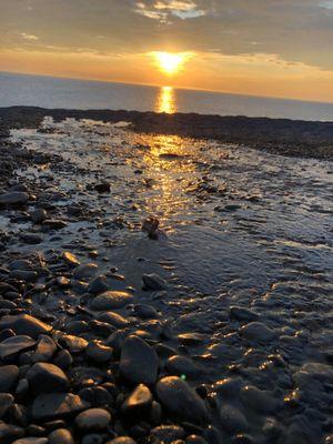 Whiskey Point Cabins & RV Park