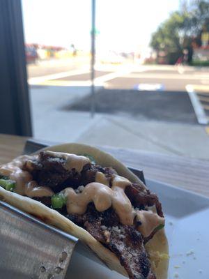 Bacon breakfast taco