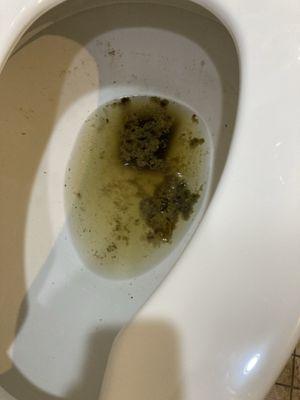 Spring Hills Post Acute Woodbury