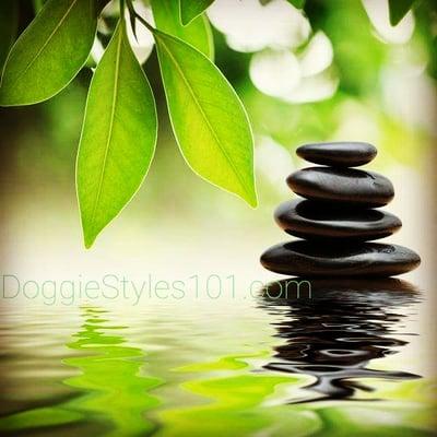 Doggiestyles 101