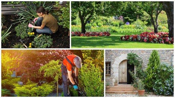 Comin Up Roses Yard Care