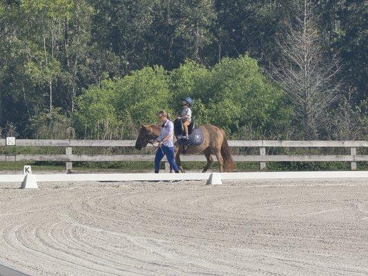 Pink Flamingo Stables