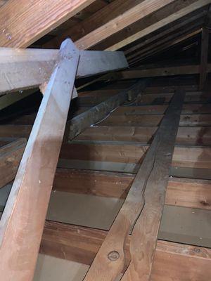 Attic Cleaning