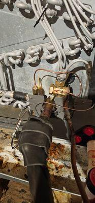 Mid-Atlantic Home And Land Management