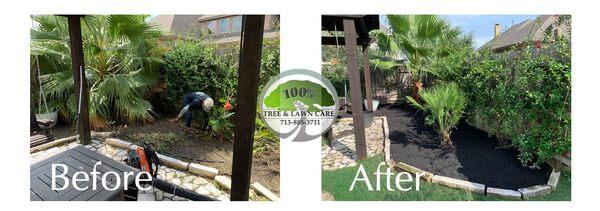 100% Tree & Lawn Care