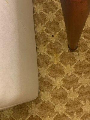 Country Inn & Suites by Radisson