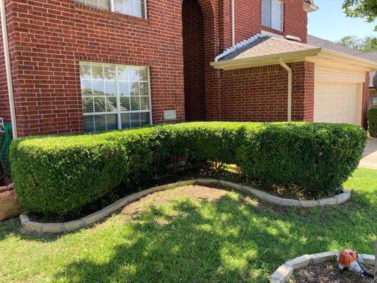 New Spring Landscaping