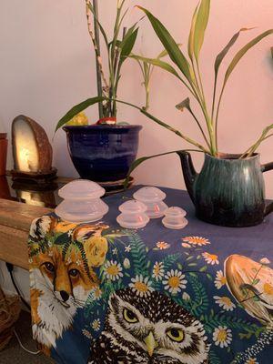 River and Fern Massage Therapy Studio