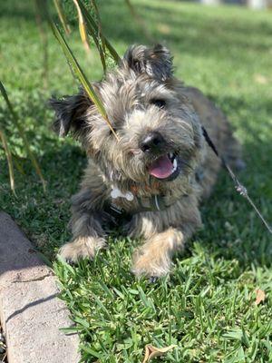 Wyatt Cole Halliwell ready to meet new friends whenever.