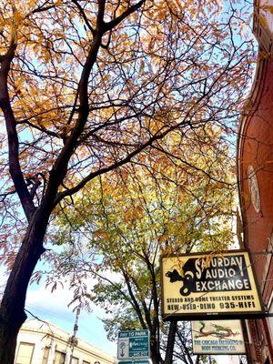 Saturday Audio Exchange