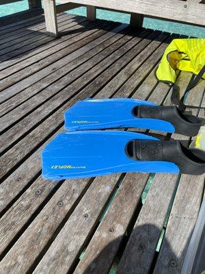 Snorkel Bob's Wailea