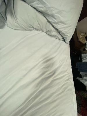 Filthy sheets. Save your money