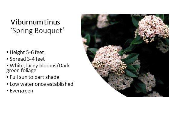 The Neighborhood Nursery