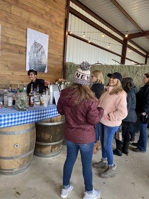 Hot Air Balloon & Polo Festival