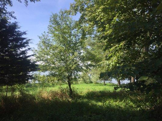 Grassy Lake Forest Preserve