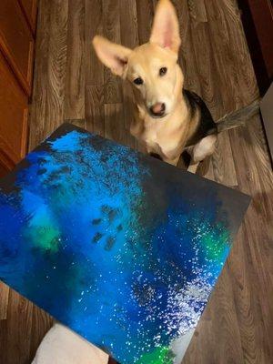 Prim And Proper Paws