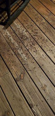 Creating Memories Cabin