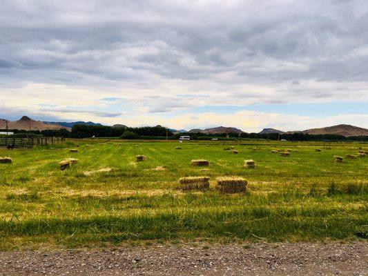 Bobby Raps - Prairie Real Estate Investments