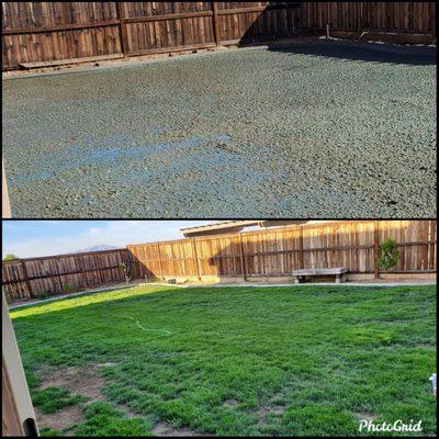 Dixon Hydroseeding
