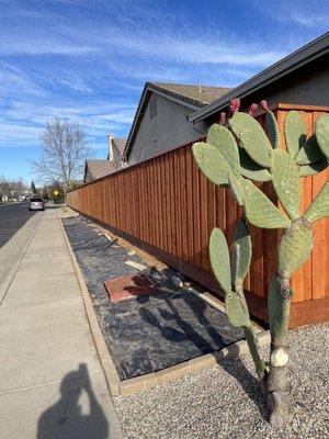 After I finished staining.