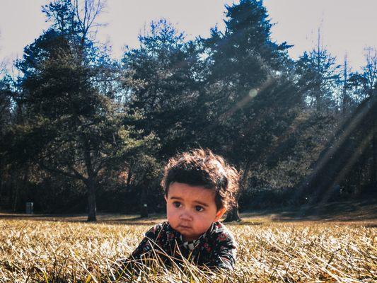 Camerons Photography