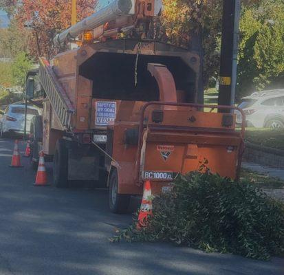 Mendoza Pro Landscape SCV