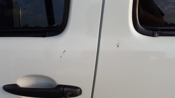 If you drive a white car or truck- go somewhere else.